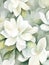 watercolor flower background - white gardenia