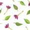 Watercolor flower buds of pink tobacco with leaves seamless pattern. Hand drawn floral illustration on white background