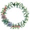 Watercolor flowering cactuses wreath with berries. Hand painted colorful succulent, coral hypericum and eucalyptus