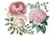 Watercolor flowers clipart pink peony, creative digital illustration painting