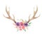 Watercolor Flowers Florals Antlers Deer Stag Horns Bone Painted