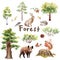 Watercolor forest set: trees, bushes, boar, hare, squirrel, hedgehog, oak, stump