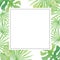 Watercolor frame with Exotic Tropical Leaves Palms, Monstera. Minimalist exotic forest greenery herbs on white