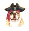 Watercolor french bulldog with Pirate blindfold and Pirate hat layer path.