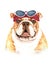 Watercolor french bulldog with sunglasses and headband layer path.