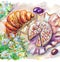 Watercolor French summer breakfast picnic: fresh croissant, cheese Camembert Brie, grape and chamomile flowers artwork