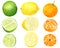 Watercolor fresh lemon, tangerine and lime set. Hand drawn botanical illustration of yellow, orange and green citrus
