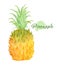 Watercolor fresh pineapple, isolated on white background.