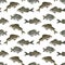 Watercolor freshwater fish seamless pattern. Hand drawn European carp, common perch and bream fish isolated on white