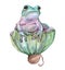 Watercolor frog  animal