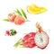 Watercolor fruits set: peach, mango, feijoa, pitaya