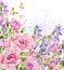 Watercolor garden flower. Watercolor rose illustration. Watercolor flower background.