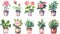 Watercolor Garden Pots Collection for Wedding Stationary and Greetings AI Generated