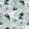 Watercolor gardenia and gypsophila pattern