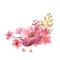 Watercolor gentle pink composition of flowers hand drawn on white background
