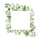 Watercolor geometrical frame with greenery leaves branch twig plant herb flora isolated