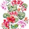 Watercolor geranium pattern