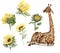 Watercolor giraffe and sunflowers illustration set. Cartoon tropical animal, exotic summer jungle design. Hand drawn designf for