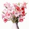 Watercolor Gladiolus Flowers In Vase Illustration