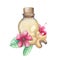 Watercolor glass bottle of the essential oil decorated with cashew nuts, leaves and flowers.