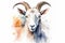 Watercolor goat portrait illustration on white background