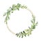 Watercolor gold geometrical wreath with greenery leaves branch twig plant herb flora isolated