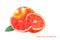 Watercolor grapefruit. Isolated citrus fruit illustration