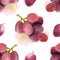 Watercolor grapes seamless