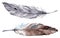 Watercolor gray grey brown feather set