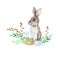 Watercolor gray Hare,Easter cake,leaves,willow tree on white background. Isolated of grey Rabbit. Watercolour Spring