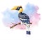 à¸ºWatercolor Great hornbill on tree branch with brush watercolor background.