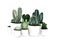 Watercolor green cactus set in white pots