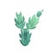 Watercolor green cactus Zygocactus