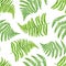 Watercolor green fern leaves seamless pattern. Hand painted forest plant Polypodiopsida texture isolated on white background.