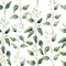 Watercolor green floral seamless pattern with flowering eucalyptus.