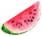 Watercolor green red watermelon juicy slice isolated vector