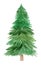 Watercolor green tall fir tree isolated on white background