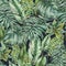 Watercolor greenery seamless pattern, exotic tropical leaves