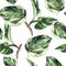 Watercolor greenery seamless pattern. Watercolor tropical leaves