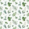 Watercolor Greenery seamless texture with fern,herb,leaves,branches.