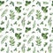 Watercolor Greenery seamless texture with fern,herb,leaves,branches.