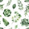 Watercolor Greenery seamless texture with fern,succulent,leaves,branches