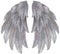 Watercolor grey Angel Wing illustration. Hand painted wing with grey feathers for prints, banners