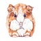 Watercolor Guinea pig on a white background