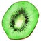 Watercolor half of exotic kiwifruit isolated vector