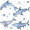 Watercolor hammerhead, shark, dolphin and whale. Hand painted underwater inhabitants