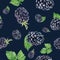 Watercolor hand drawn blackberry isolated seamless pattern.