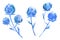 Watercolor hand drawn blue eryngium planum set isolated on white. Wild field herb flower bouquet. Trendy classic blue color