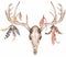 Watercolor hand drawn Boho Clipart, Deer Antlers illustration with feathers