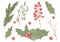 Watercolor hand drawn Christmas plants set. Abstract botanical winter elements